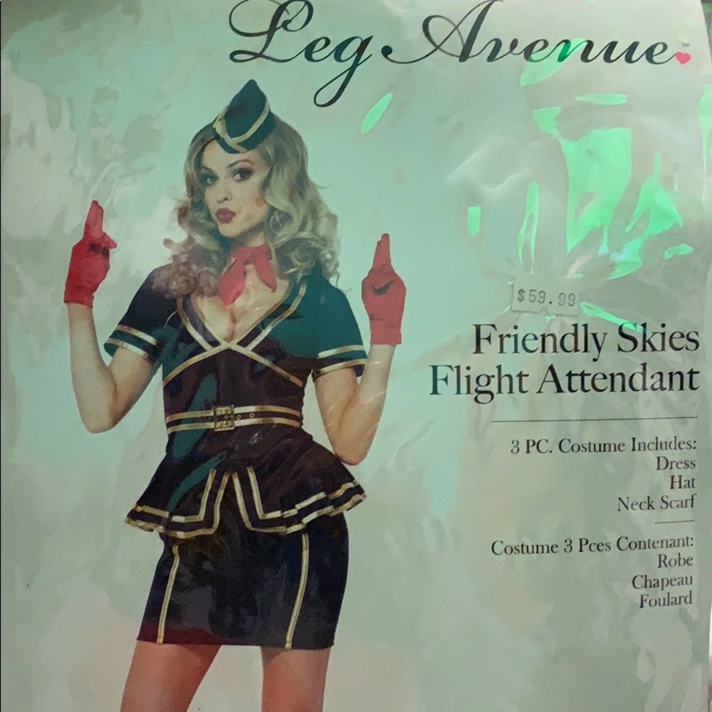 Friendly Skies Flight Attendant